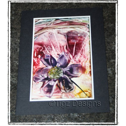 Encaustic Elements - Note Card - Made in Creston BC #19-19